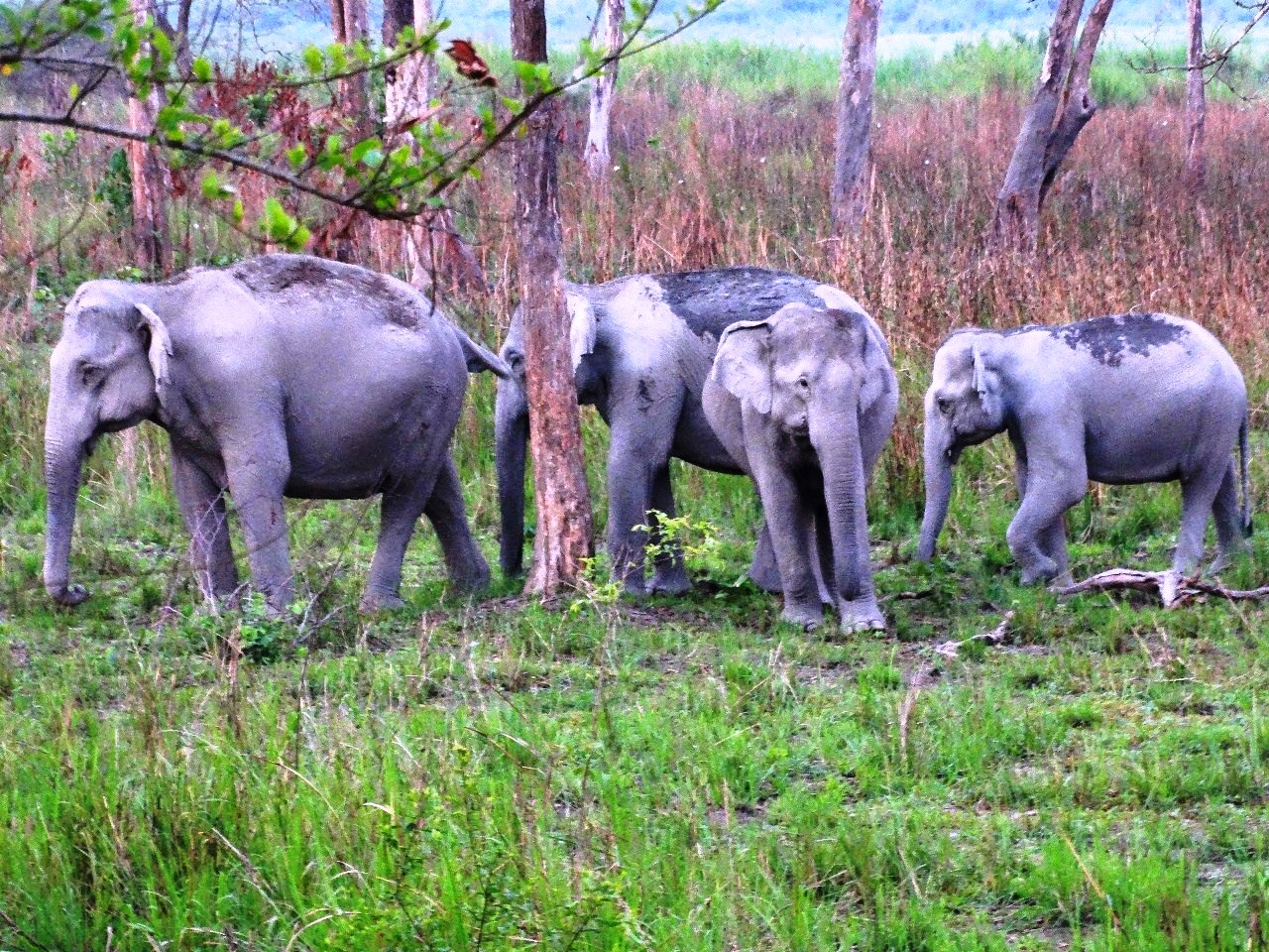 Library and Documentation Centre